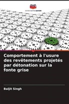 Baljit Singh - Comportement à l'usure des revêtements projetés par détonation sur la fonte grise