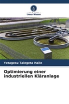 Yetagesu Talegeta Haile - Optimierung einer industriellen Kläranlage