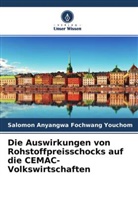 Salomon Anyangwa Fochwang Youchom - Die Auswirkungen von Rohstoffpreisschocks auf die CEMAC-Volkswirtschaften