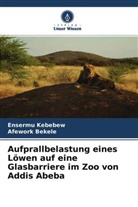 Afework Bekele, Ensermu Kebebew - Aufprallbelastung eines Löwen auf eine Glasbarriere im Zoo von Addis Abeba