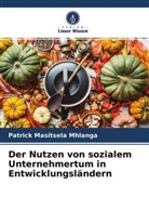 Patrick Masitsela Mhlanga - Der Nutzen von sozialem Unternehmertum in Entwicklungsländern