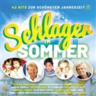 Various - Schlager Im Sommer - 42 Hits zur schönsten Jahreszeit, 2 Audio-CD, 2 Audio-CD (Livre audio)