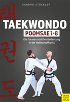 Sandro Stückler - Taekwondo Poomsae 1-8