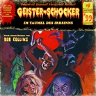 Geister-Schocker - Im Taumel des Irrsinns, 1 Audio-CD (Audio book)