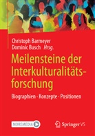 Barmeyer, Christoph Barmeyer, Busch, Dominic Busch - Meilensteine der Interkulturalitätsforschung