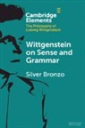 Silver Bronzo - Wittgenstein on Sense and Grammar