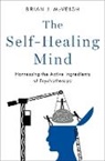 Brian J. Mcveigh, Brian J. (Licensed Mental Health Counselo Mcveigh, McVeigh Brian J. - Self-Healing Mind