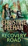 Christine Feehan - Recovery Road