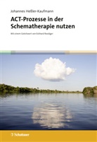 Johannes Heßler-Kaufmann - ACT-Prozesse in der Schematherapie nutzen