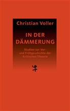 Christian Voller - In der Dämmerung