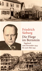 Friedrich Sieburg, Joachim Kersten - Die Fliege im Bernstein