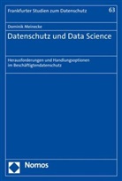 Dominik Meinecke - Datenschutz und Data Science