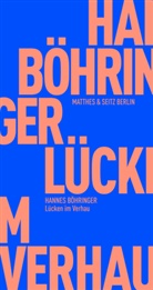 Hannes Böhringer - Lücken im Verhau