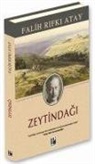 Falih Rifki Atay - Zeytindagi Ciltli