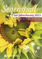 Ulrike Rauhut - Segenspost zur Jahreslosung 2023 - 5er-Pack: Segenspost zur Jahreslosung 2023 - 5er-Pack