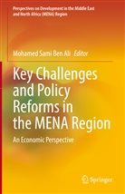 Mohamed Sami Ben Ali, Mohamed Sami Ben Ali - Key Challenges and Policy Reforms in the MENA Region