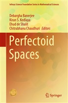 Debargha Banerjee, Chitrabhanu Chaudhuri, Ehud de Shalit, Ehud de Shalit et al, Kiran S. Kedlaya, Kiran S Kedlaya - Perfectoid Spaces