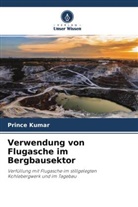 Prince Kumar - Verwendung von Flugasche im Bergbausektor