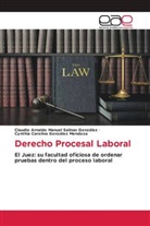 Cynthia Carolina González Mendoza, Claudio Arnaldo Manuel Salinas González - Derecho Procesal Laboral