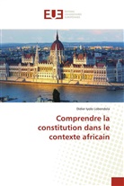 Didier Iyolo Lobondola - Comprendre la constitution dans le contexte africain