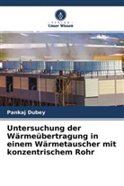 Pankaj Dubey - Untersuchung der Wärmeübertragung in einem Wärmetauscher mit konzentrischem Rohr