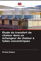 Pankaj Dubey - Étude du transfert de chaleur dans un échangeur de chaleur à tubes concentriques