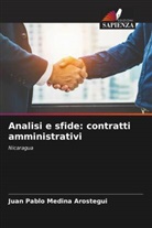 Juan Pablo Medina Arostegui - Analisi e sfide: contratti amministrativi