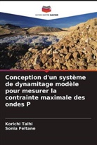 Sonia Feltane, Korichi Talhi - Conception d'un système de dynamitage modèle pour mesurer la contrainte maximale des ondes P