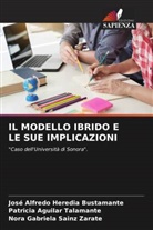 Patricia Aguilar Talamante, José Alfredo Heredia Bustamante, Nora Gabriela Sainz Zárate - IL MODELLO IBRIDO E LE SUE IMPLICAZIONI