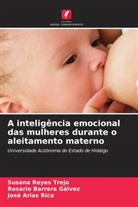 José Arias Rico, Rosario Barrera Gálvez, Susana Reyes Trejo - A inteligência emocional das mulheres durante o aleitamento materno