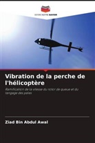 Ziad Bin Abdul Awal, Mohd. Shariff Bin Ammoo - Vibration de la perche de l'hélicoptère