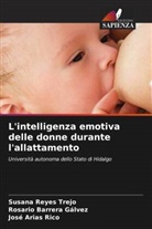 José Arias Rico, Rosario Barrera Gálvez, Susana Reyes Trejo - L'intelligenza emotiva delle donne durante l'allattamento