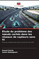 Salah Abdulghani, Kaeed Ketab - Étude du problème des noeuds cachés dans les réseaux de capteurs sans fil