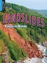 Pamela McDowell - Landslides