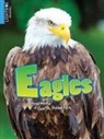 Gillespie Katie - Eagles