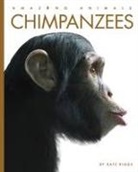 Riggs Kate, Kate Riggs - Chimpanzees