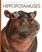 Riggs Kate, Kate Riggs - Hippopotamuses