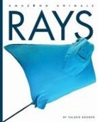 Valerie Bodden, Bodden Valerie - Rays