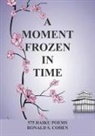 Ronald S. Cohen - A Moment Frozen in Time
