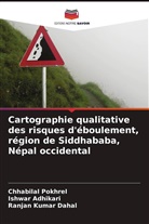 Ishwar Adhikari, Ranjan Kumar Dahal, Chhabilal Pokhrel - Cartographie qualitative des risques d'éboulement, région de Siddhababa, Népal occidental