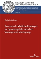 Anja Brückner, Max-Emanuel Geis - Kommunale Mobilfunkkonzepte im Spannungsfeld zwischen Vorsorge und Versorgung