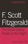 Nicolas Tredell, Tredell Nicolas - F. Scott Fitzgerald: The Great Gatsby/tender Is the Night