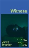 Jamel Brinkley - Witness