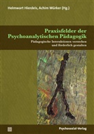Josef Christian Aigner, Wilfried Datler, Dörr, Mar Dörr, Margret Dörr, Manfred Gerspach... - Praxisfelder der Psychoanalytischen Pädagogik