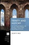 Scott P. Rice - Trinity and History