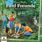 Enid Blyton - Fünf Freunde und der Schatz in der Drachenschlucht, 1 Audio-CD (Audiolibro)