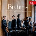 Johannes Brahms - Klavierquintett in f-moll/Streichquintett in G-Dur (Audio book)