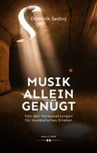 Dominik Sedivý - Musik allein genügt