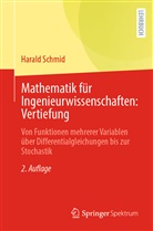 Harald Schmid - Mathematik für Ingenieurwissenschaften: Vertiefung