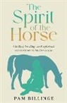 Pam Billinge - The Spirit of the Horse